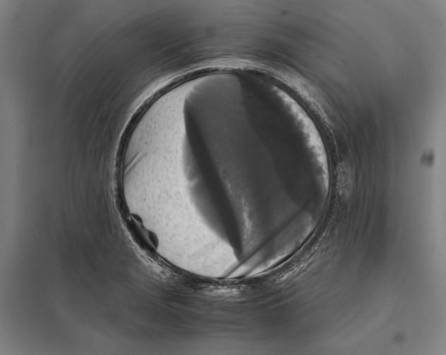 X0000097761229200803281626