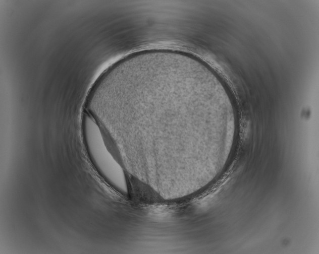 X0000097761230200803281626