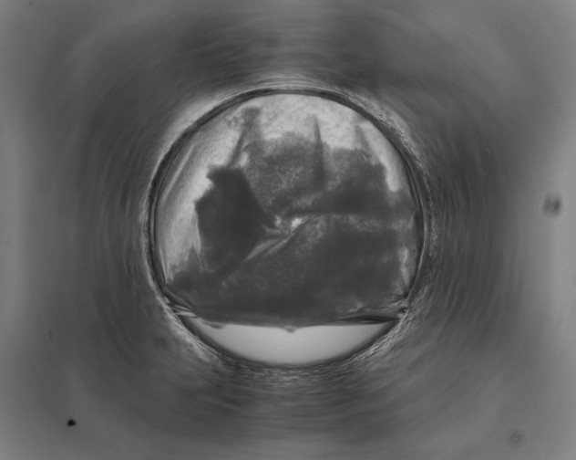 X0000097761231200803281626