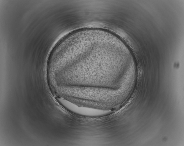 X0000097761232200803281626