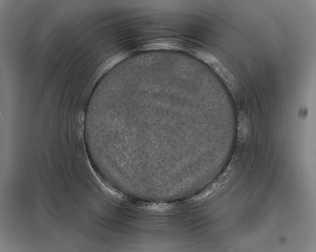 X0000097761233200803281626