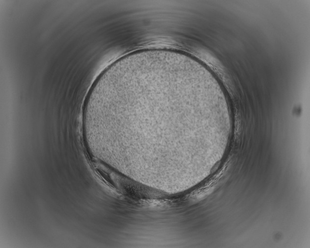 X0000097761234200803281626