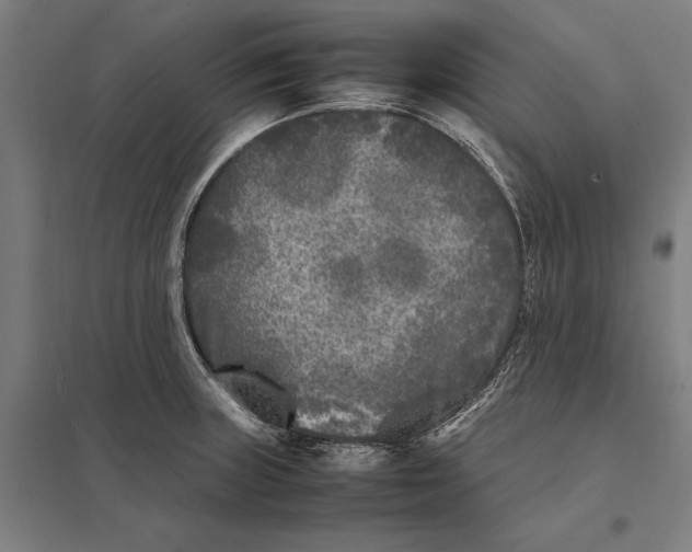 X0000097761235200803281626