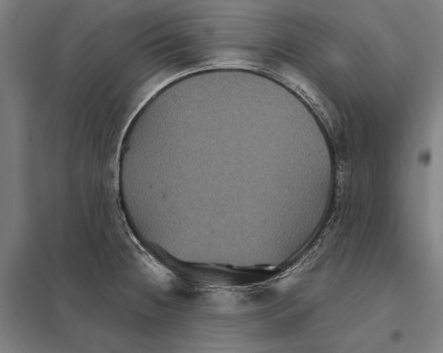 X0000097761236200803281626