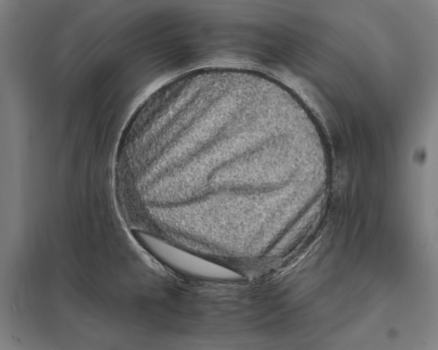 X0000097761237200803281626