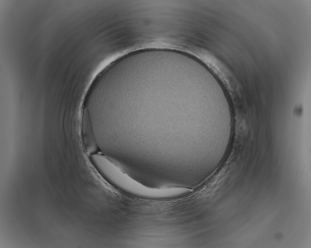 X0000097761238200803281626