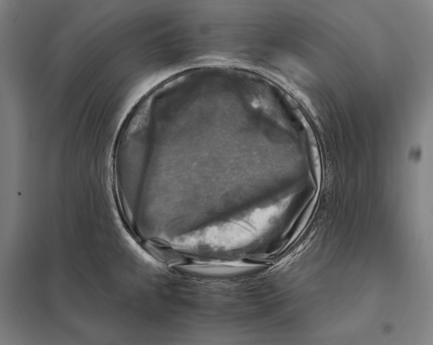 X0000097761239200803281626