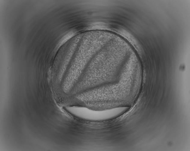 X0000097761241200803281626