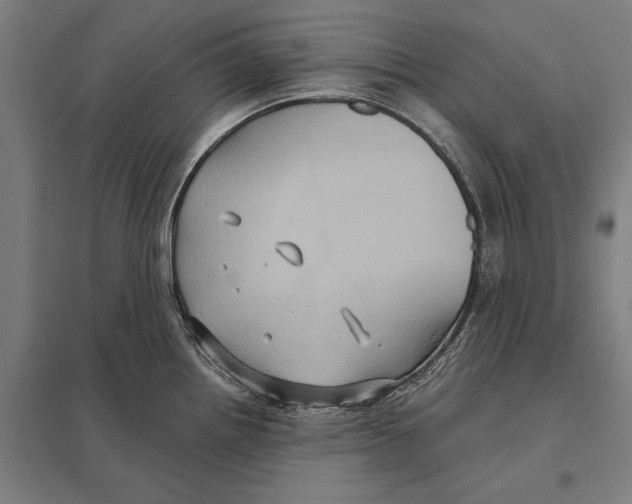 X0000097761242200803281626