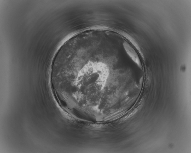 X0000097761245200803281626