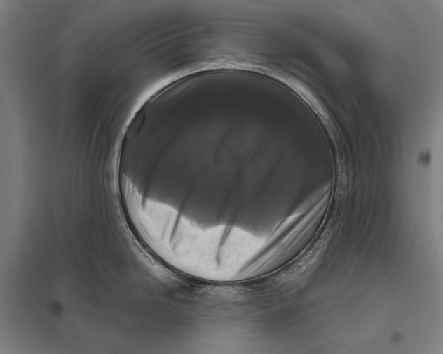 X0000097761246200803281626