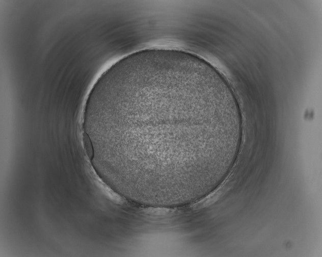 X0000097761248200803281626