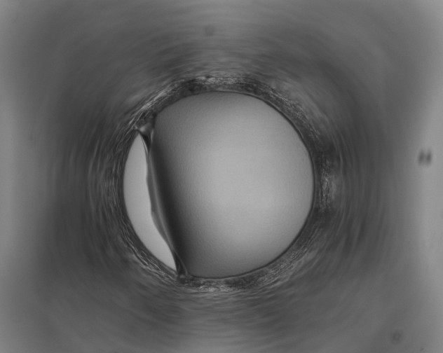 X0000097761250200803281625