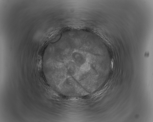 X0000097761251200803281625