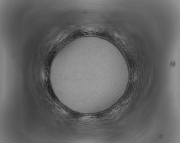 X0000097761253200803281625