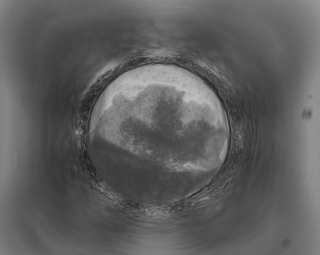 X0000097761254200803281625