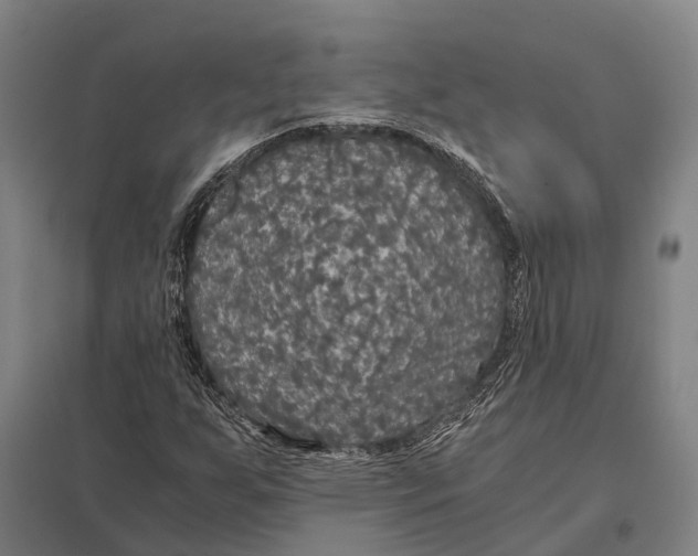 X0000097761255200803281625