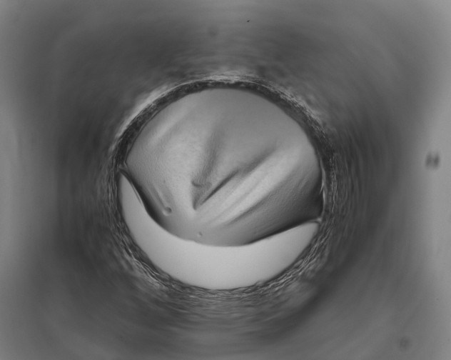 X0000097761256200803281625