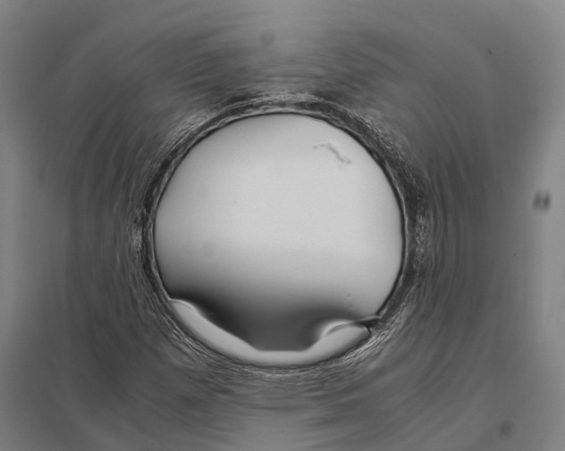 X0000097761257200803281625