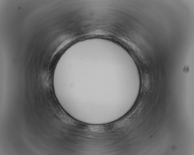 X0000097761258200803281625