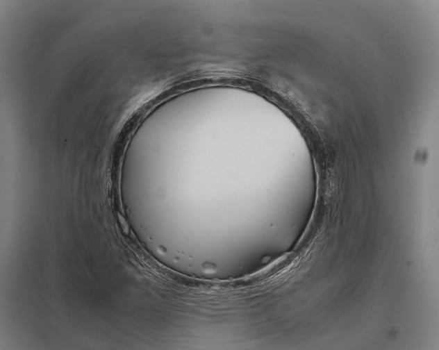 X0000097761261200803281625