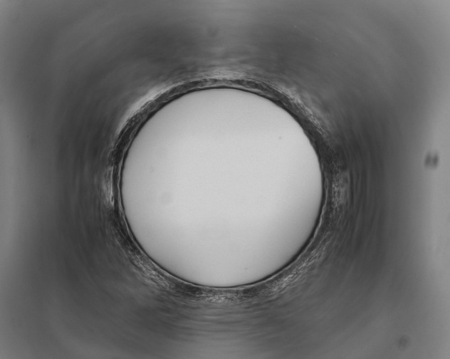 X0000097761262200803281625