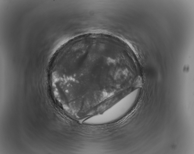 X0000097761263200803281625