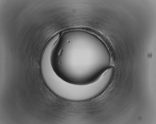 X0000097761265200803281625