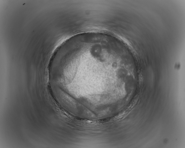 X0000097761267200803281625