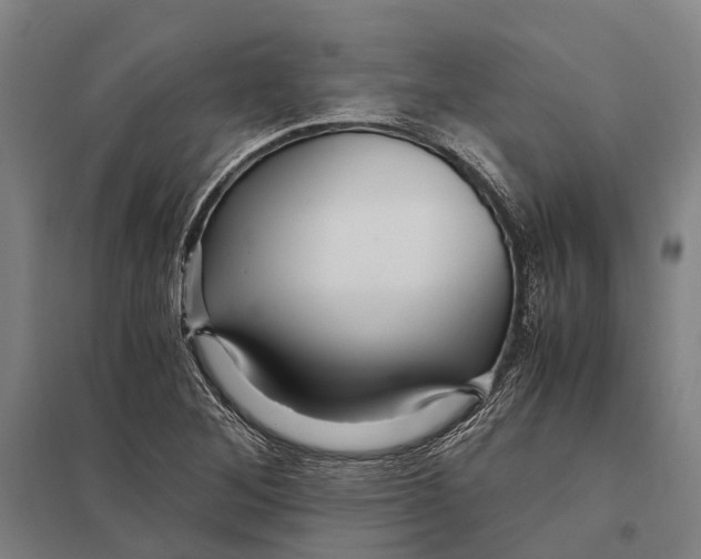 X0000097761268200803281625