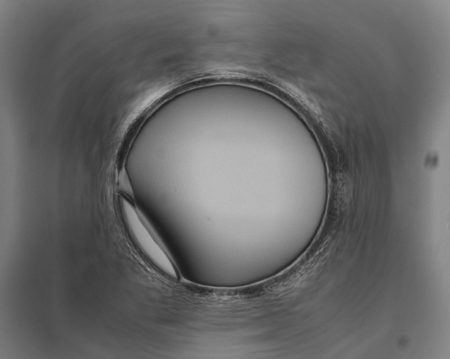 X0000097761269200803281625