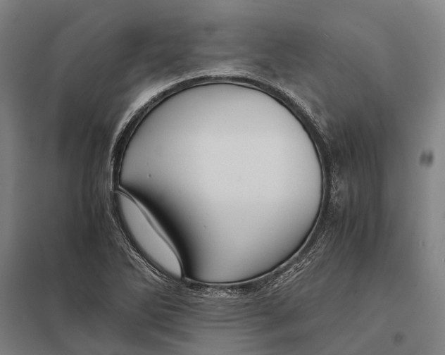 X0000097761270200803281625