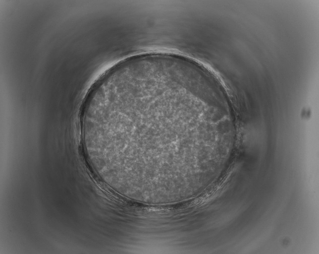 X0000097761271200803281625