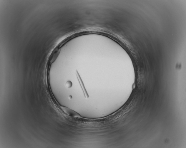 X0000097761272200803281625