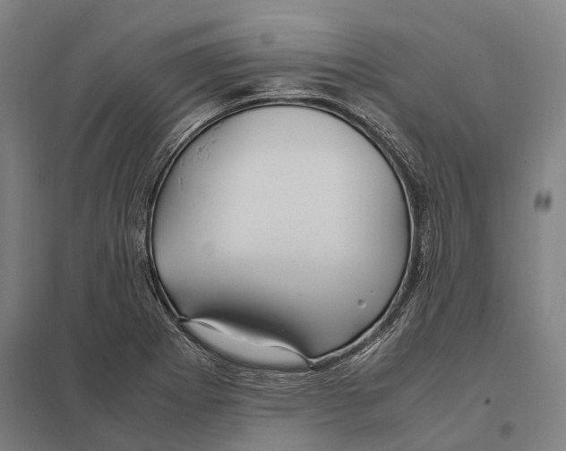 X0000097761273200803281625