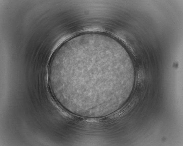 X0000097761274200803281625