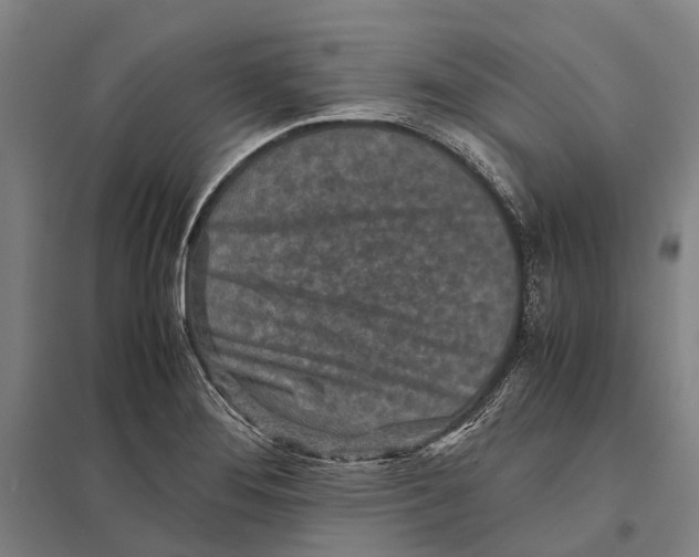 X0000097761276200803281625