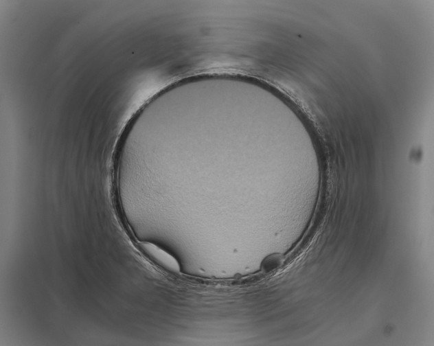 X0000097761277200803281625