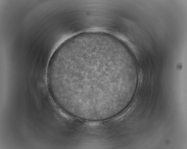 X0000097761278200803281625