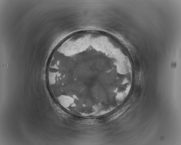 X0000097761279200803281625