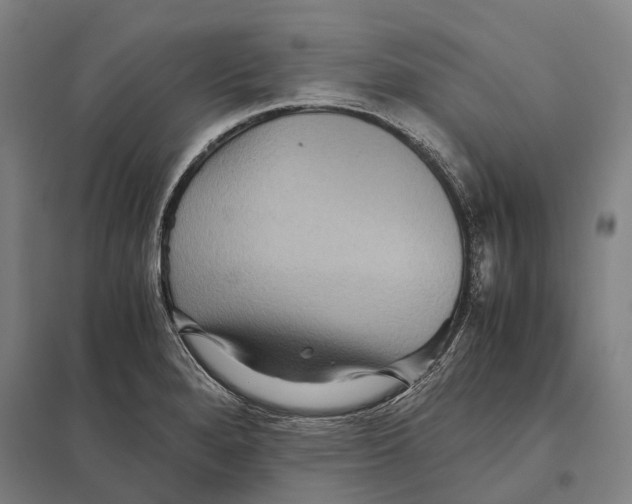 X0000097761280200803281625