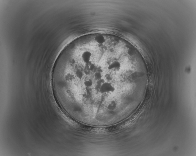 X0000097761283200803281625