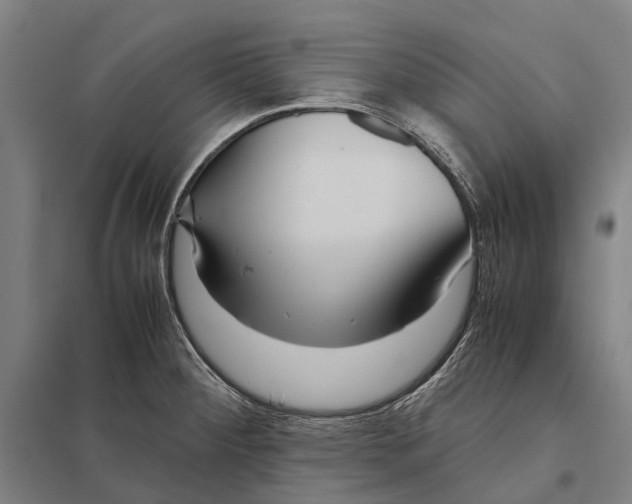 X0000097761284200803281625