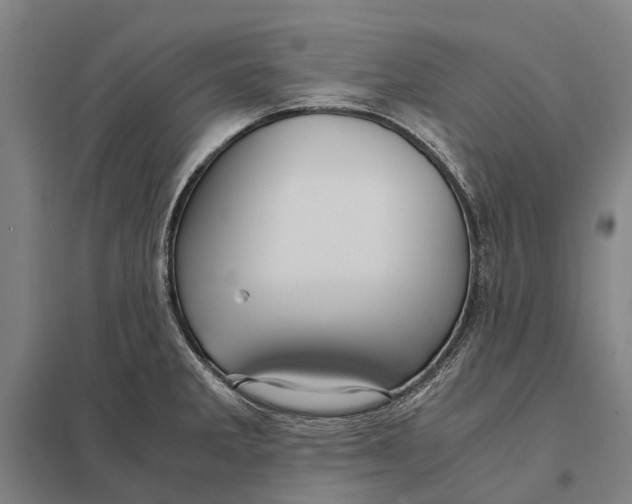 X0000097761285200803281625