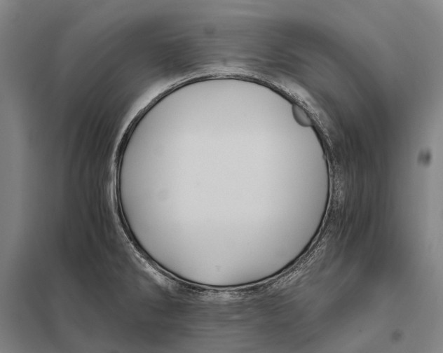 X0000097761286200803281625