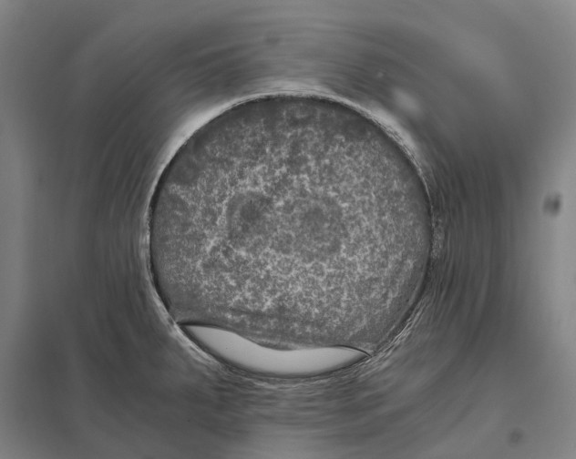 X0000097761287200803281625