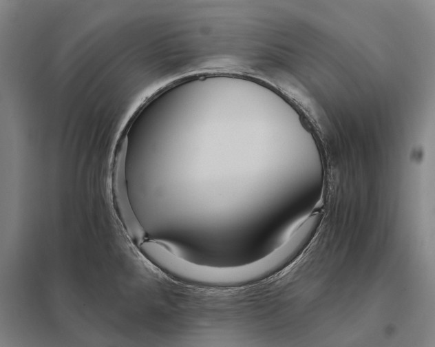 X0000097761288200803281625