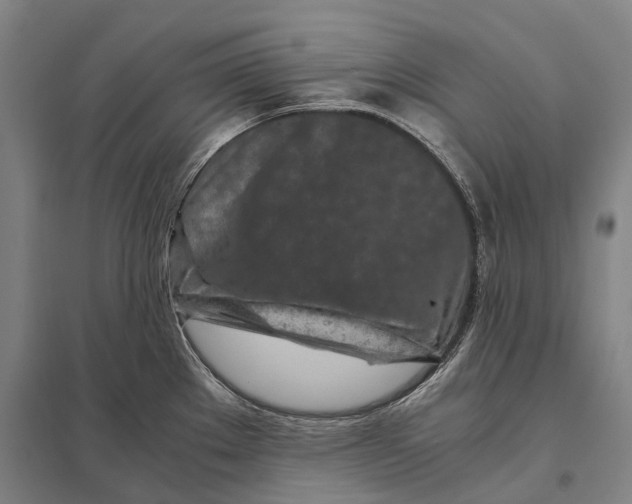 X0000097761289200803281625