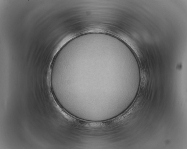 X0000097761290200803281625