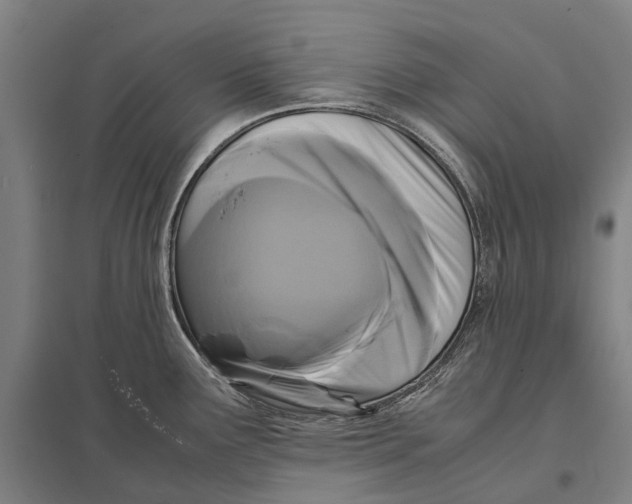 X0000097761291200803281625